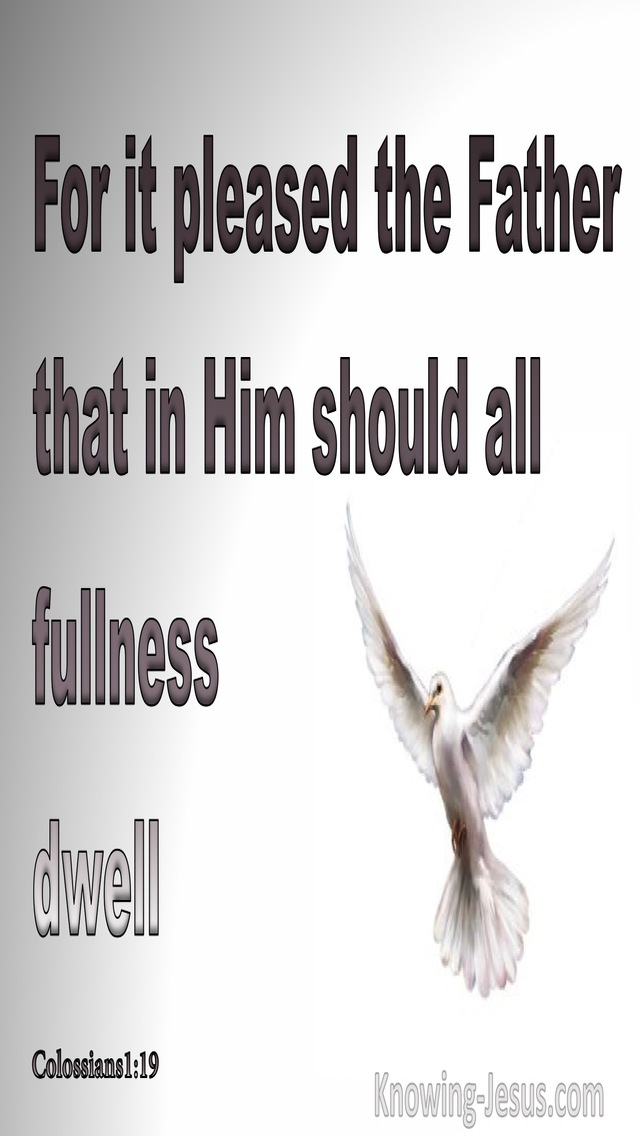 Colossians 1:19 In Him Dwells All Goodness (gray)